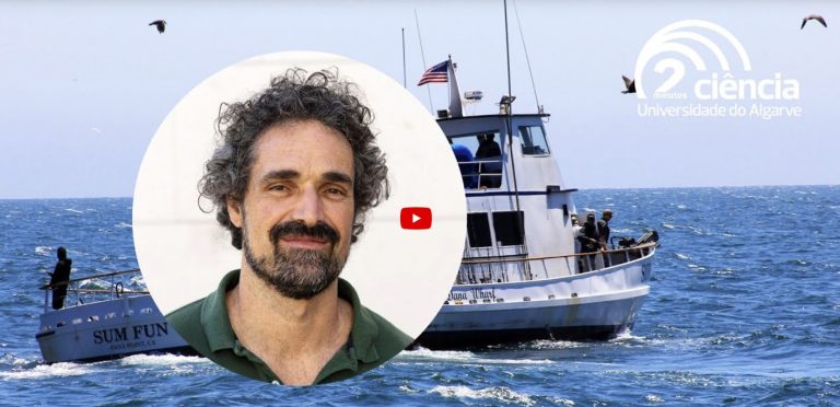 A Study of the vulnerability of the Fishing Industry in Portugal