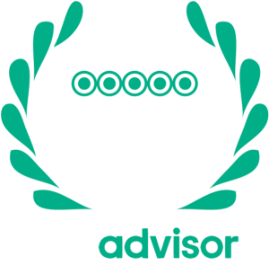 Tripadvisor 5 star review